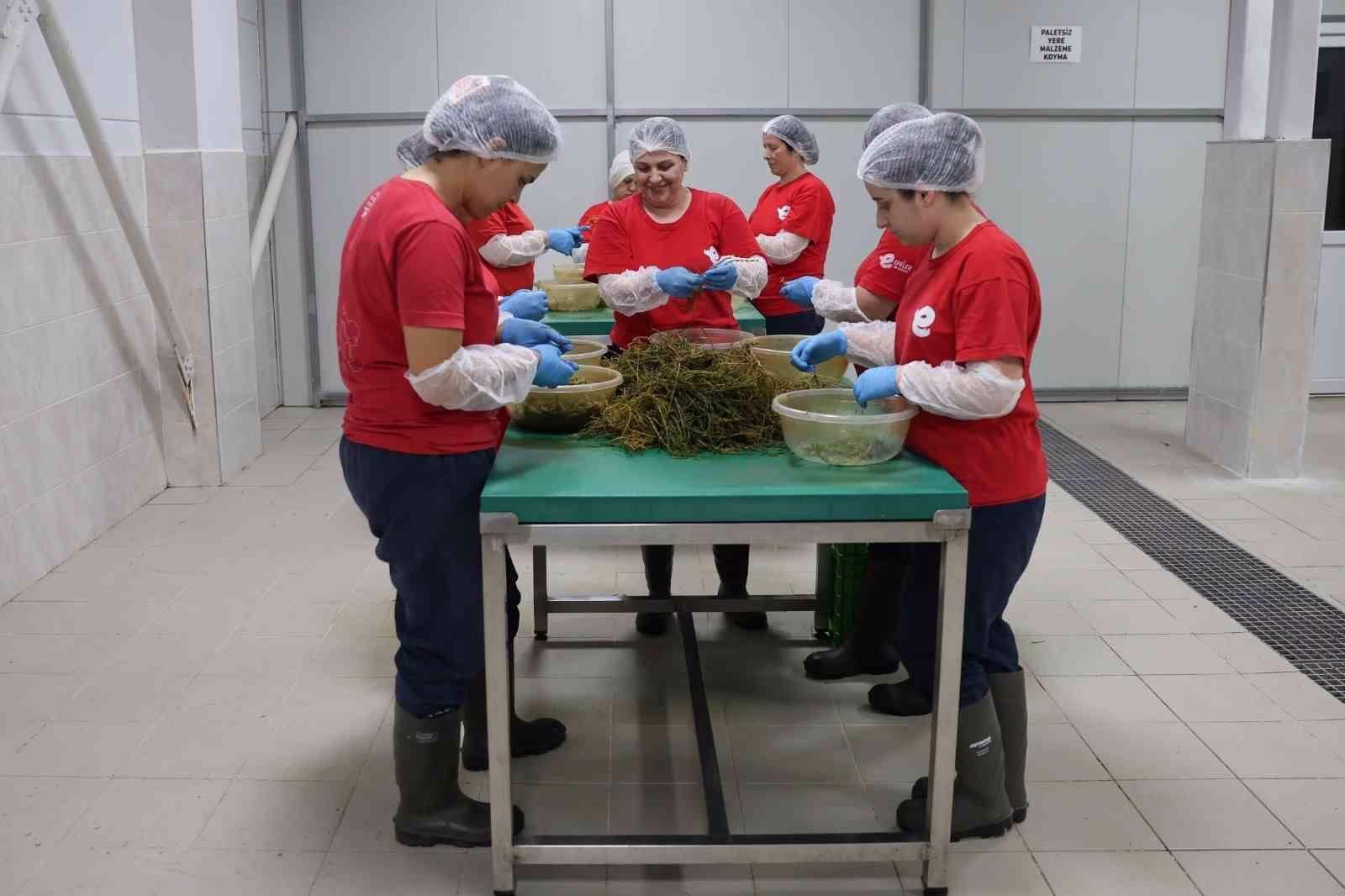 Efeler’in yöresel lezzetleri e-ticaretle Türkiye’ye ulaşıyor