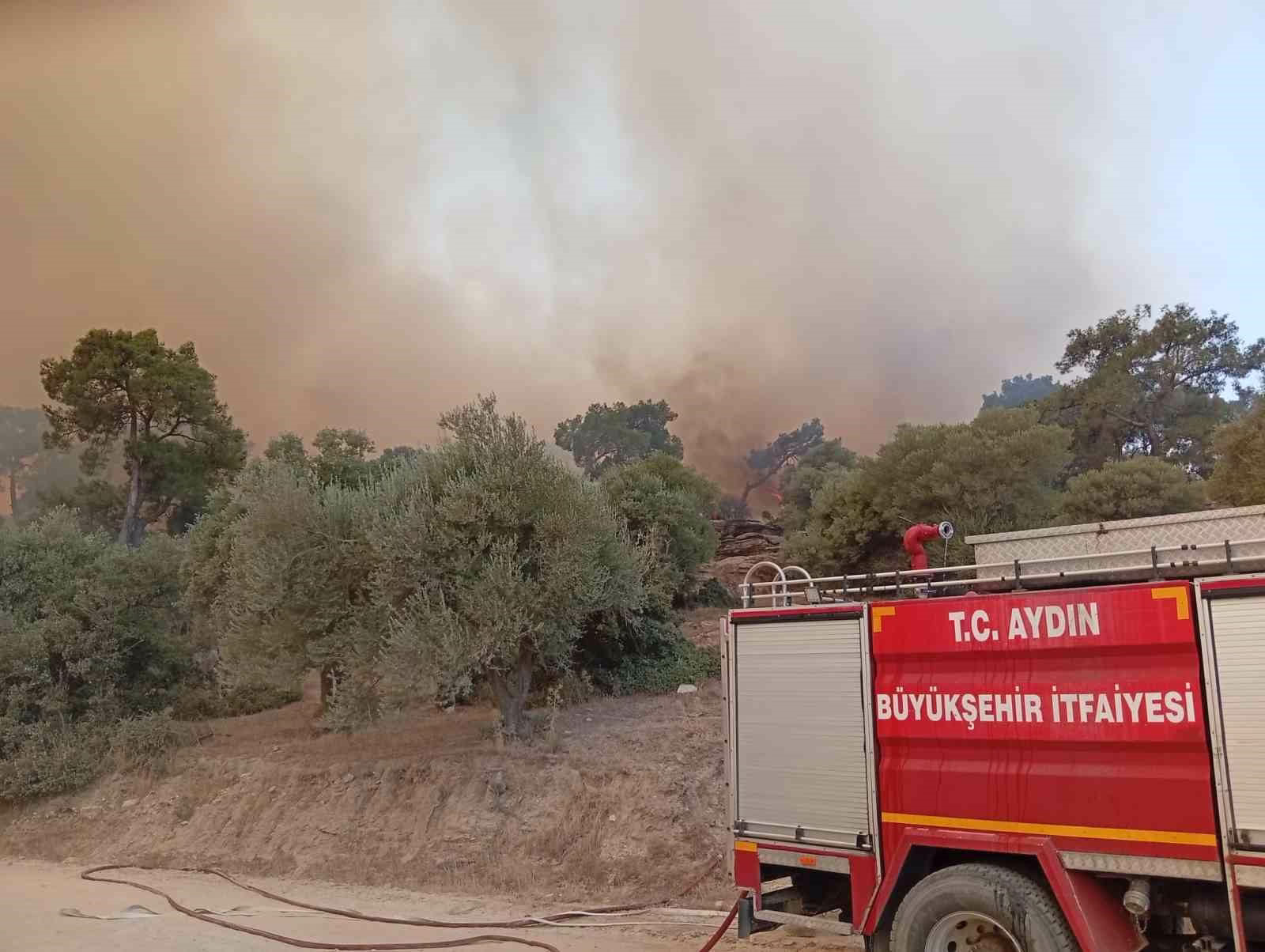 İtfaiye erleri alevlerin arasında kalan kaplumbağayı böyle kurtardı