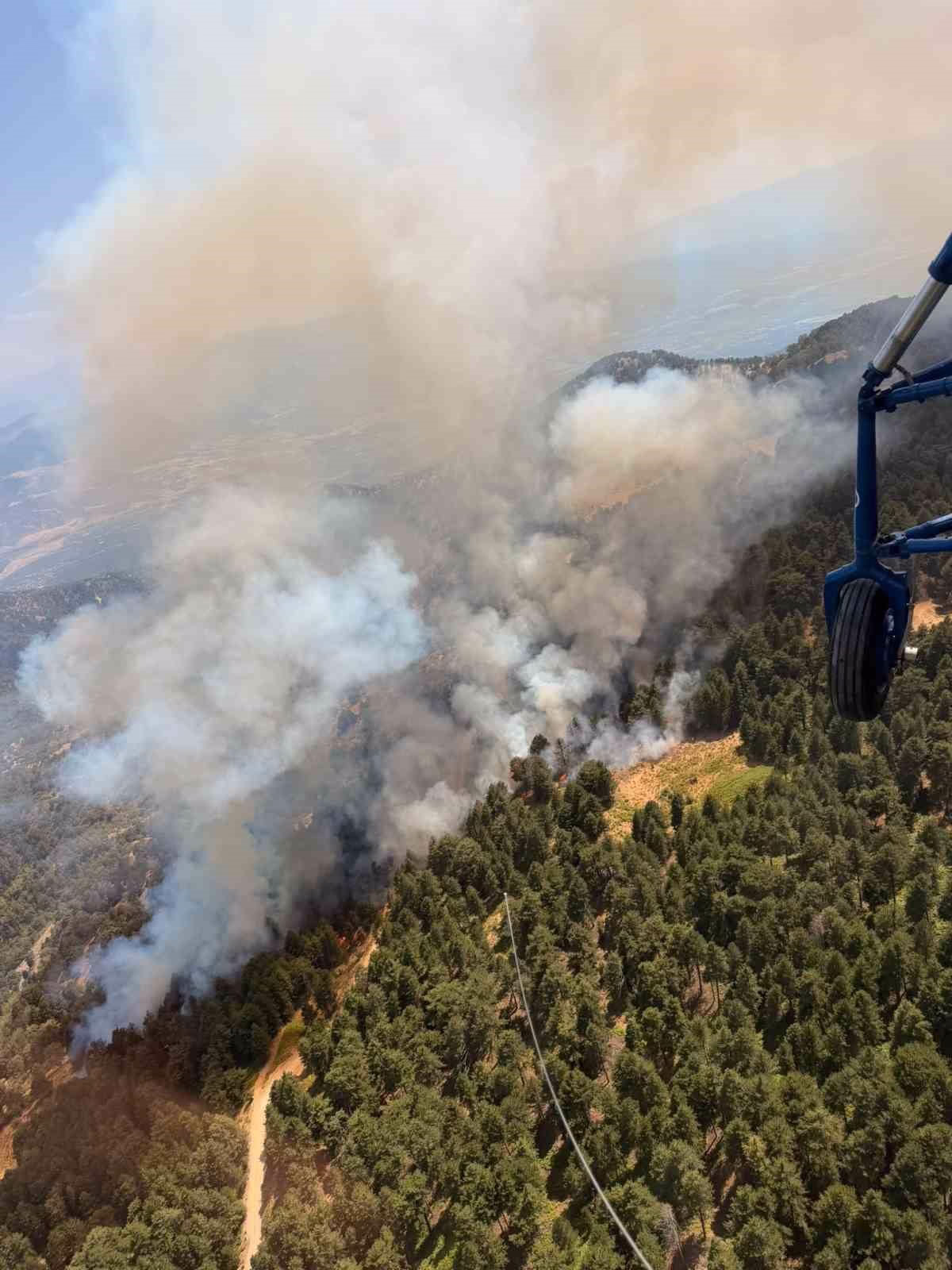 Kuyucak’ta orman yangını 3 Kuyucak’ta orman yangını
