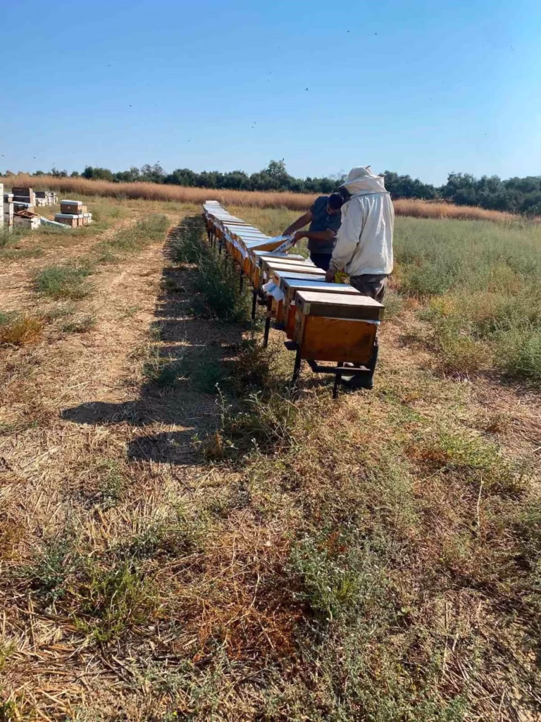 nazillide arili kovan tespit calismalari suruyor 1044661be5a9