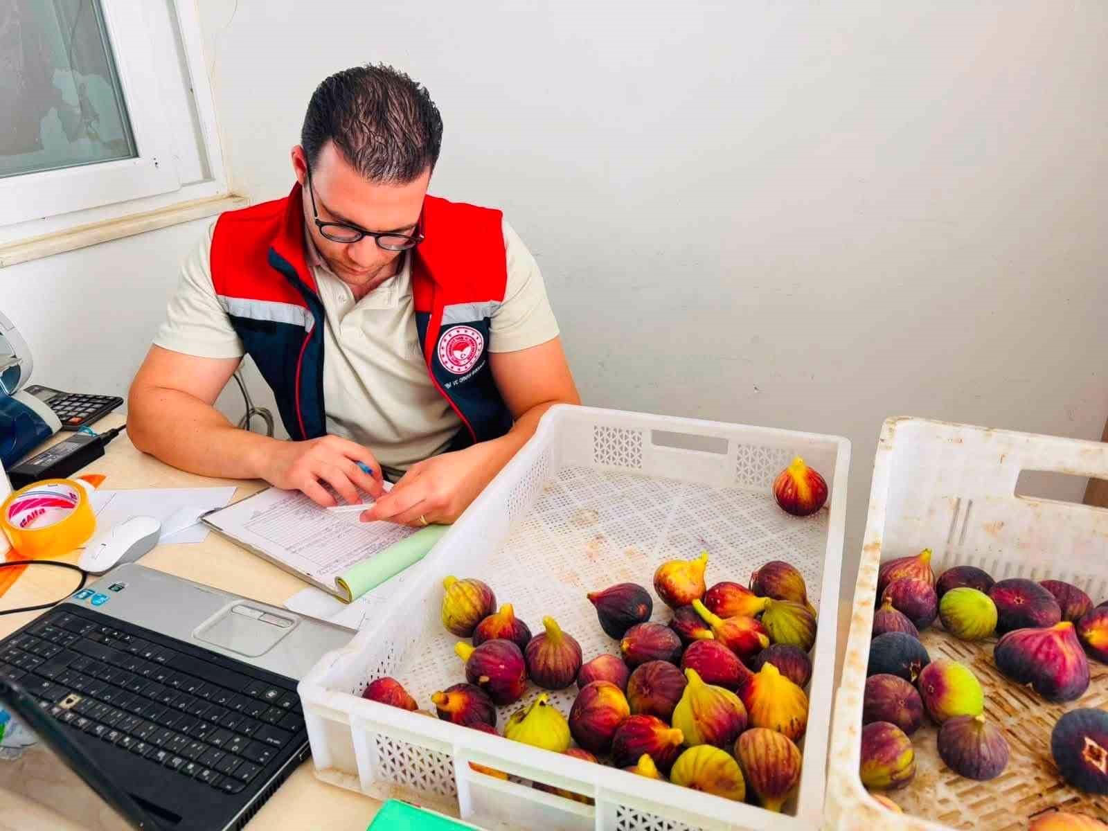 Nazilli’de taze incir denetimi
