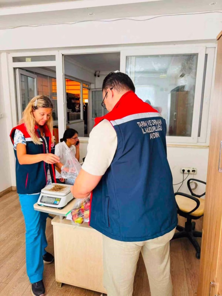 nazillide taze incir denetimi f099eacab1d2