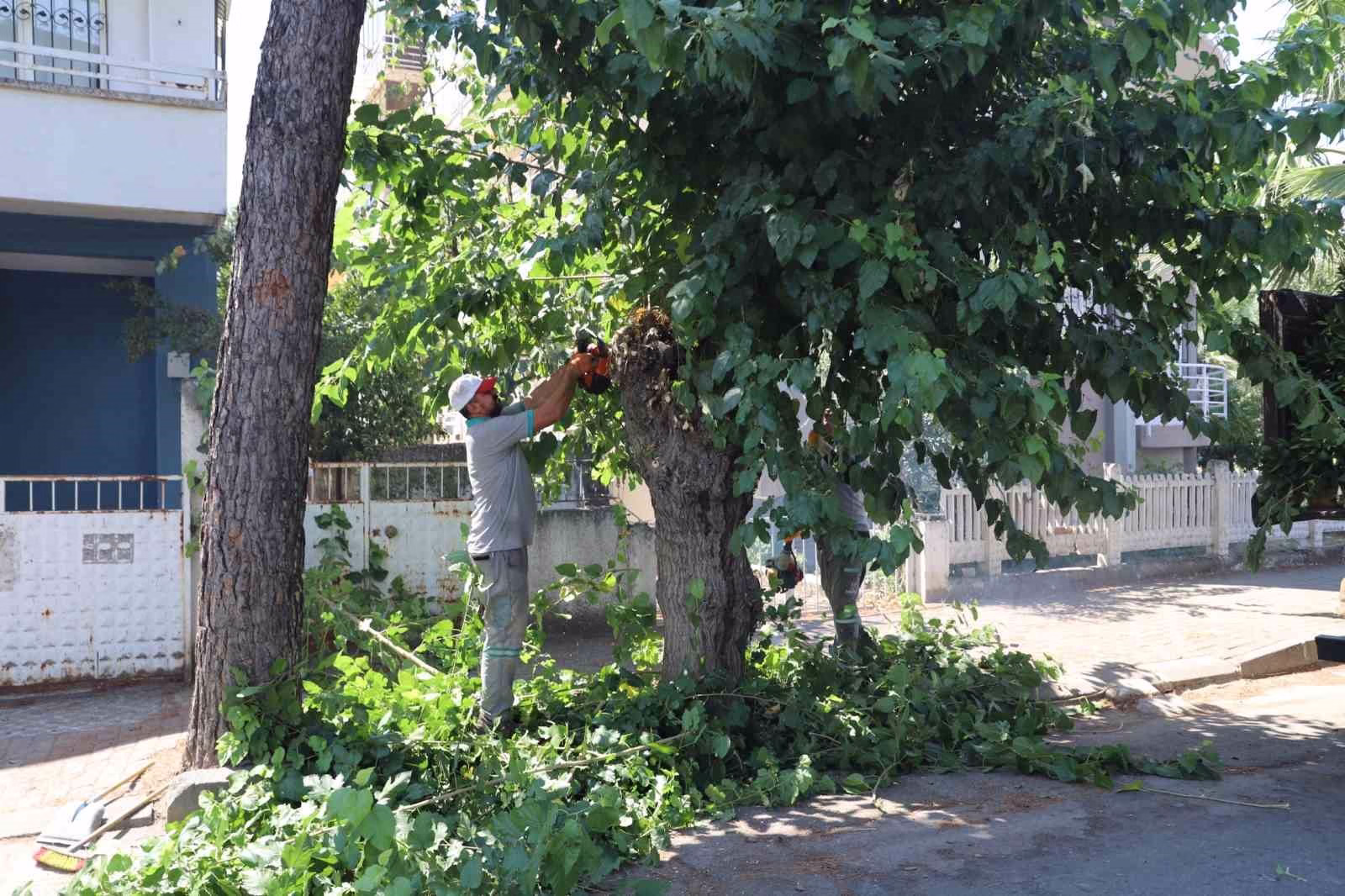 Nazilli’de yeşil alanlarda sonbahar hazırlığı