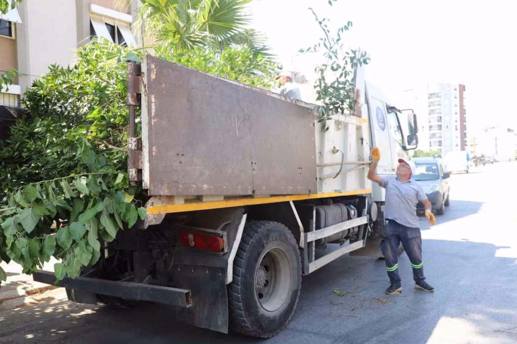 nazillide yesil alanlarda sonbahar hazirligi 8497aeede9ff