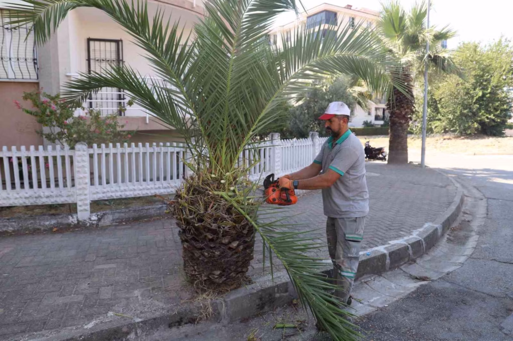 nazillide yesil alanlarda sonbahar hazirligi 885813880471