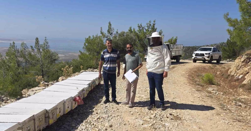 sokede arili kovan tespit calismalari suruyor ea7ce02a6e9c