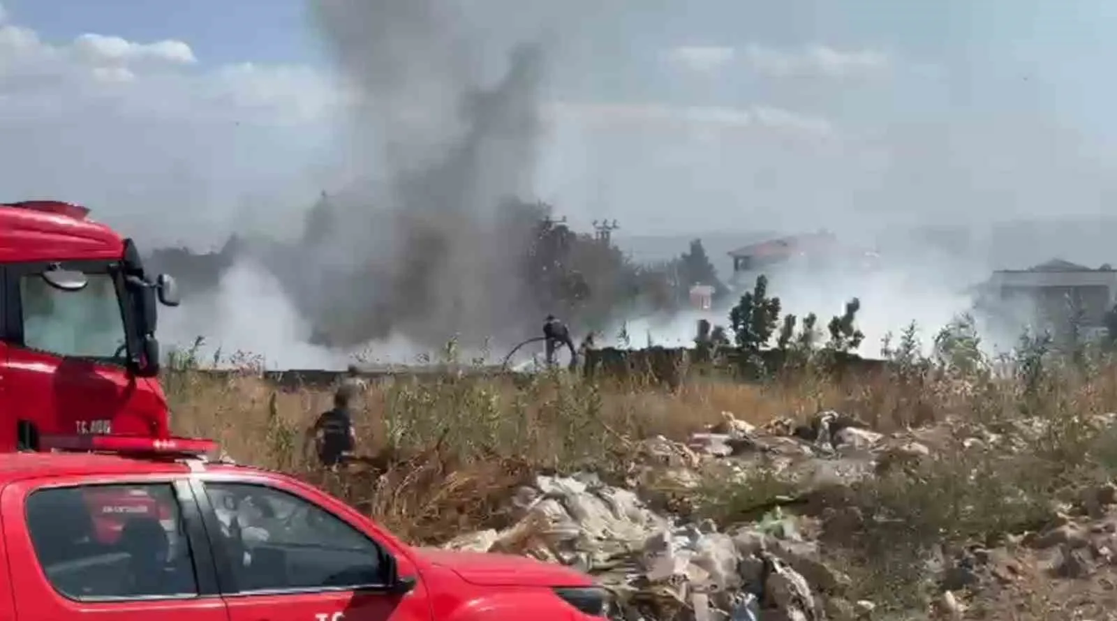 Zeytinlik alanda çıkan yangın korkuttu