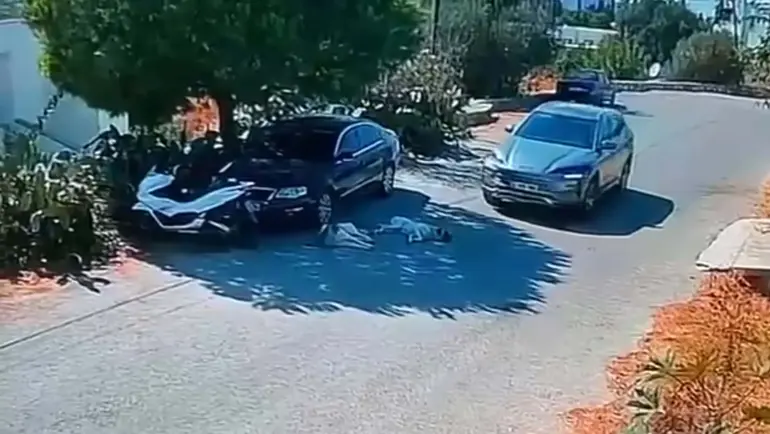 Otomobiliyle köpeklerin üzerinden geçti: Akıllara durgunluk veren anlar kamerada