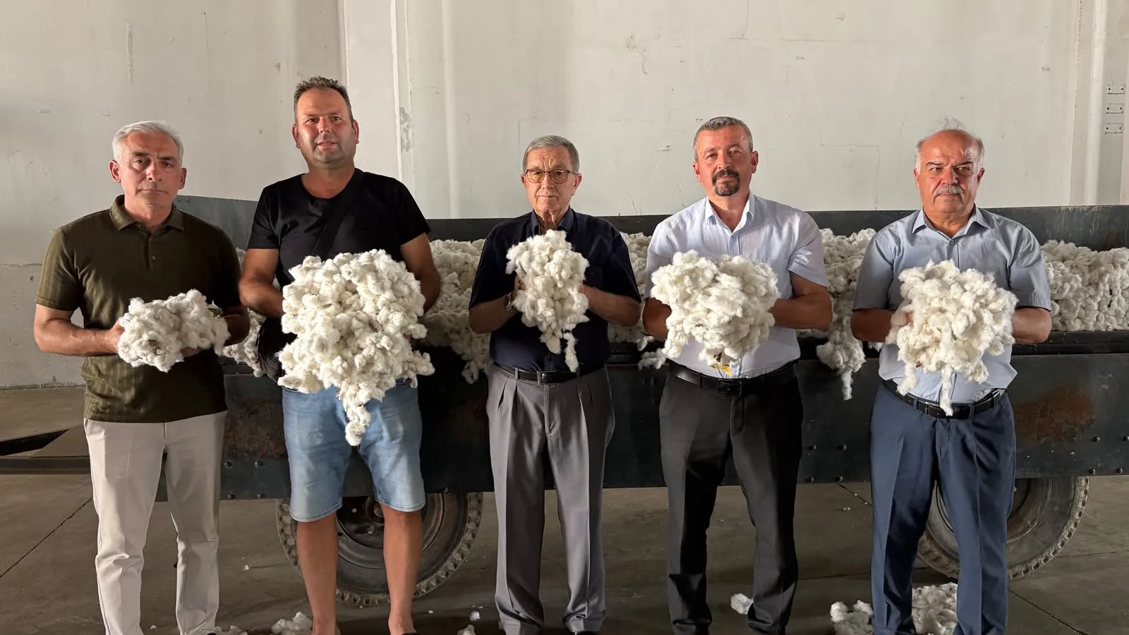 Aydın’da sezonun ilk pamuğu alındı: 100 lira…