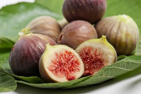 Germencik’te incir yarışması başlıyor