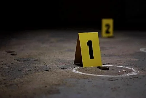 Bozdoğan'da eğlence mekanında silahlı kavga: 1 yaralı 1 WhatsApp Image 2026 09 14 at 12.48.58