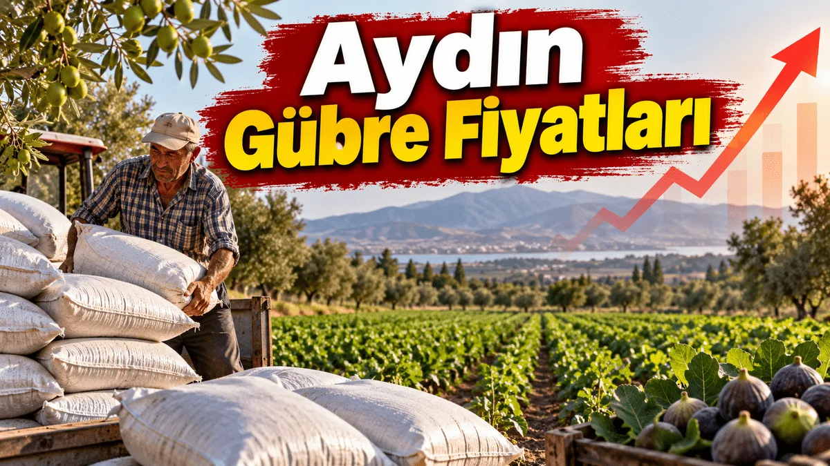 Aydın Gübre Fiyatları 2026: Çuval Fiyatları Cep Yakıyor! Üre, DAP ve 20.20 Gübre Kaç TL?