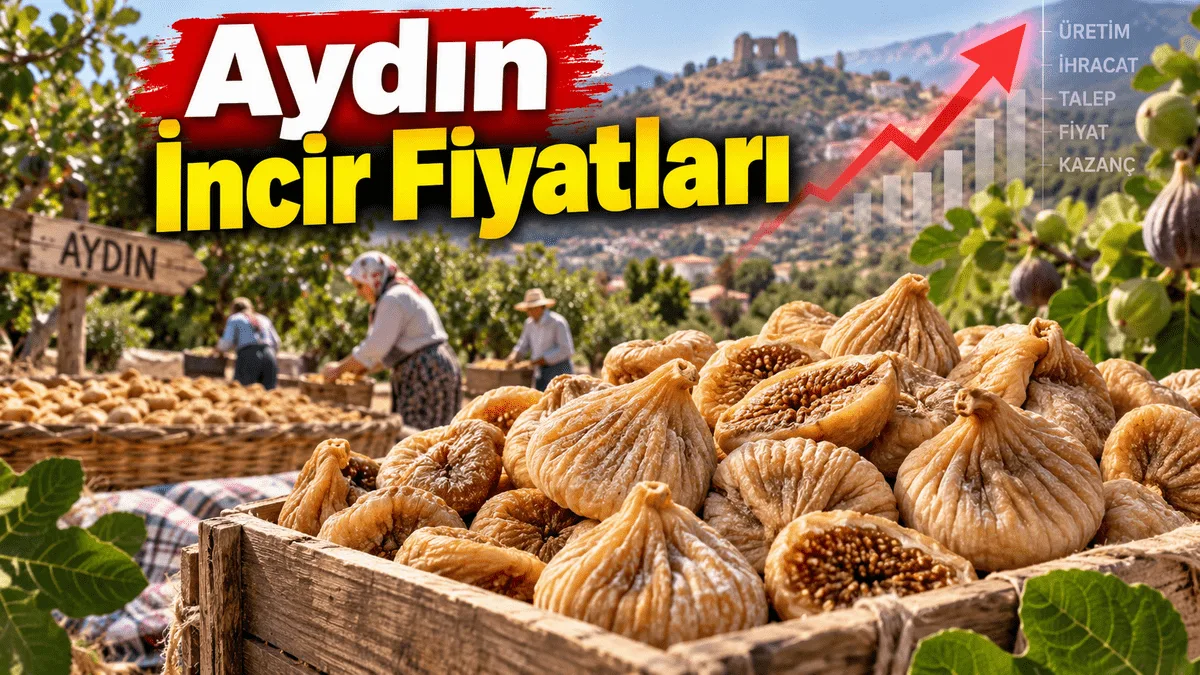 Aydın İncir Fiyatları 2026: Kuru İncirin Kilosu Kaç TL Oldu? İşte Son Fiyatlar