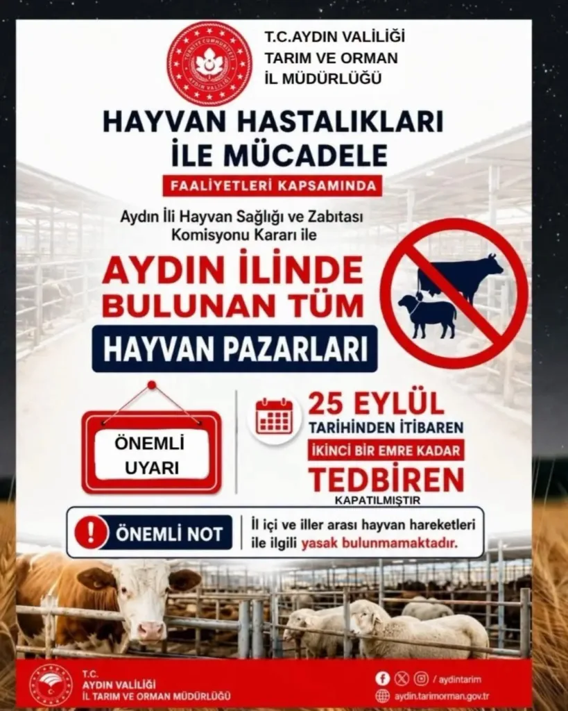 Aydın’da tüm hayvan pazarları tedbiren kapatıldı 2 aydinda tum hayvan pazarlari tedbiren kapatildi b040e827d110