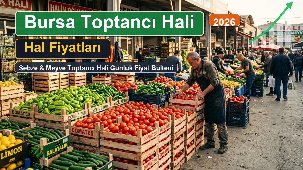 Bursa Toptancı Hali Fiyatları 10 Eylül 2026: Günlük Toptancı Hali Sebze ve Meyve Fiyat Listesi 1 bursa hal fiyatlari