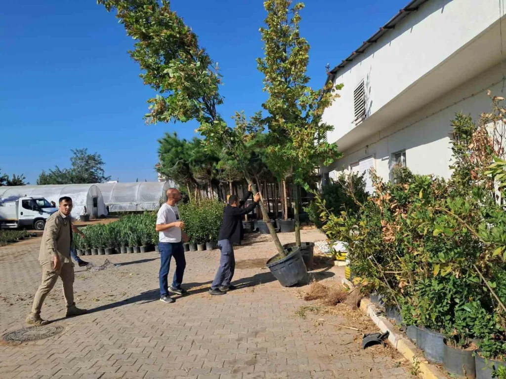 Büyükşehir Belediyesi’nden Sultanhisar’a yeşil alan desteği 83 buyuksehir belediyesinden sultanhisara yesil alan destegi 6fe1c8f4efb8