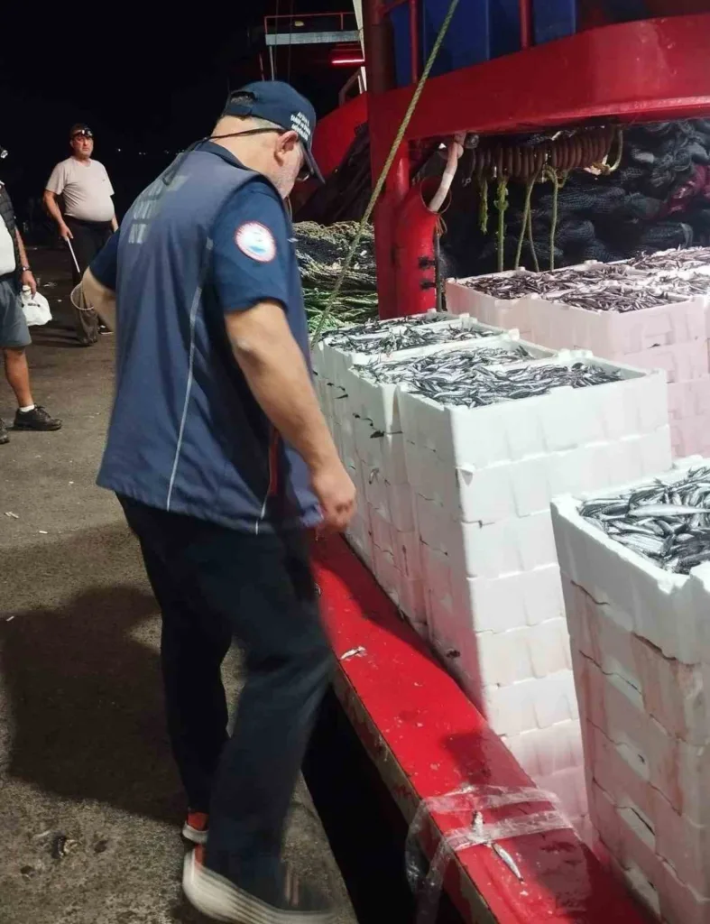 Didim’de hamsi denetimi sürüyor 2 didimde hamsi denetimi suruyor 439c02556249