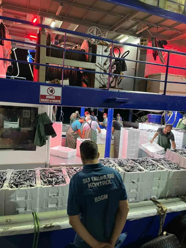 didimde hamsi kotasi denetimi yapildi 9c19c7bf2c61