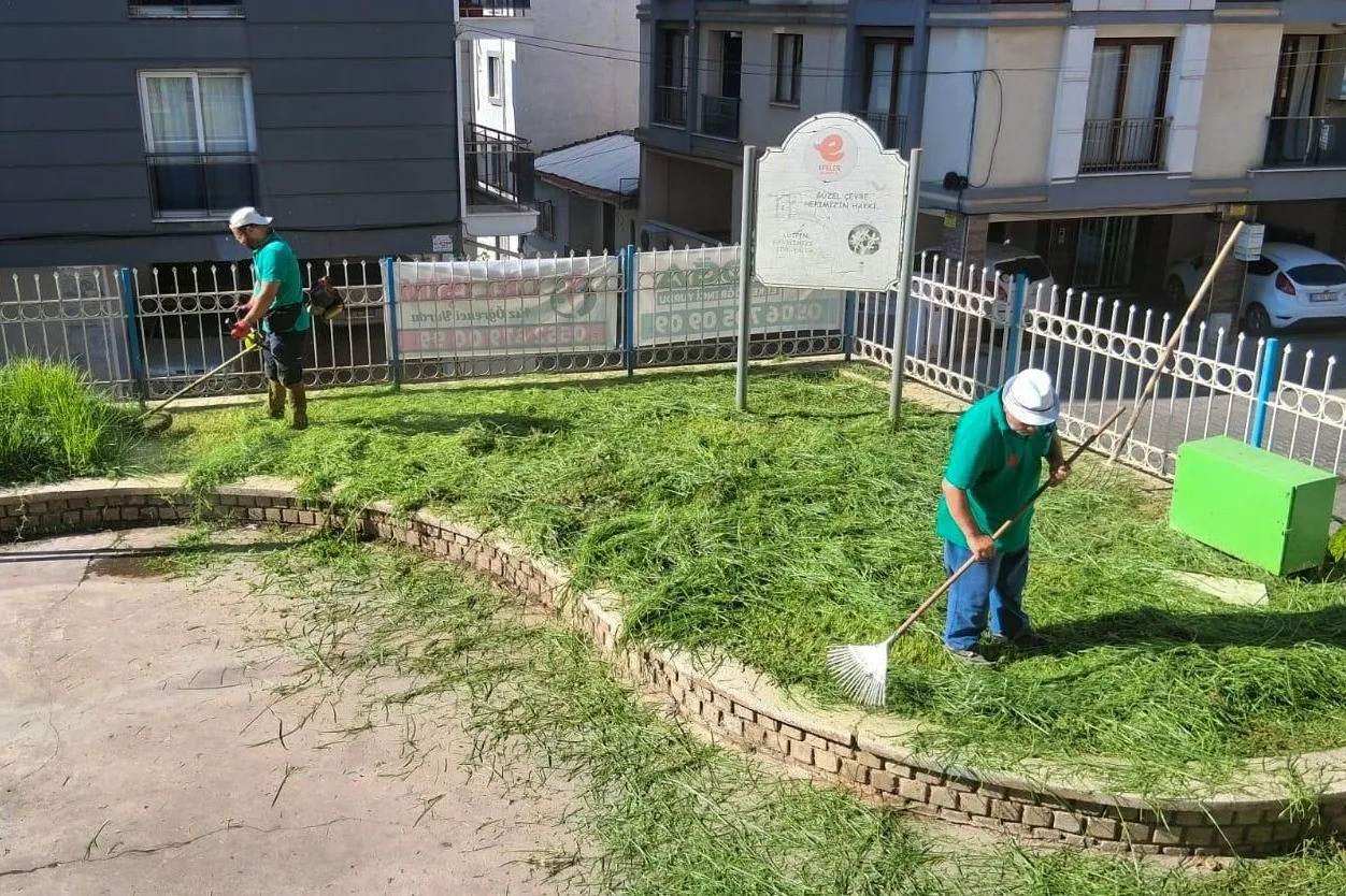 Efeler Belediyesi parklarda bakım çalışmalarını sürdürüyor 17 Efeler Belediyesi parklarda bakım çalışmalarını sürdürüyor