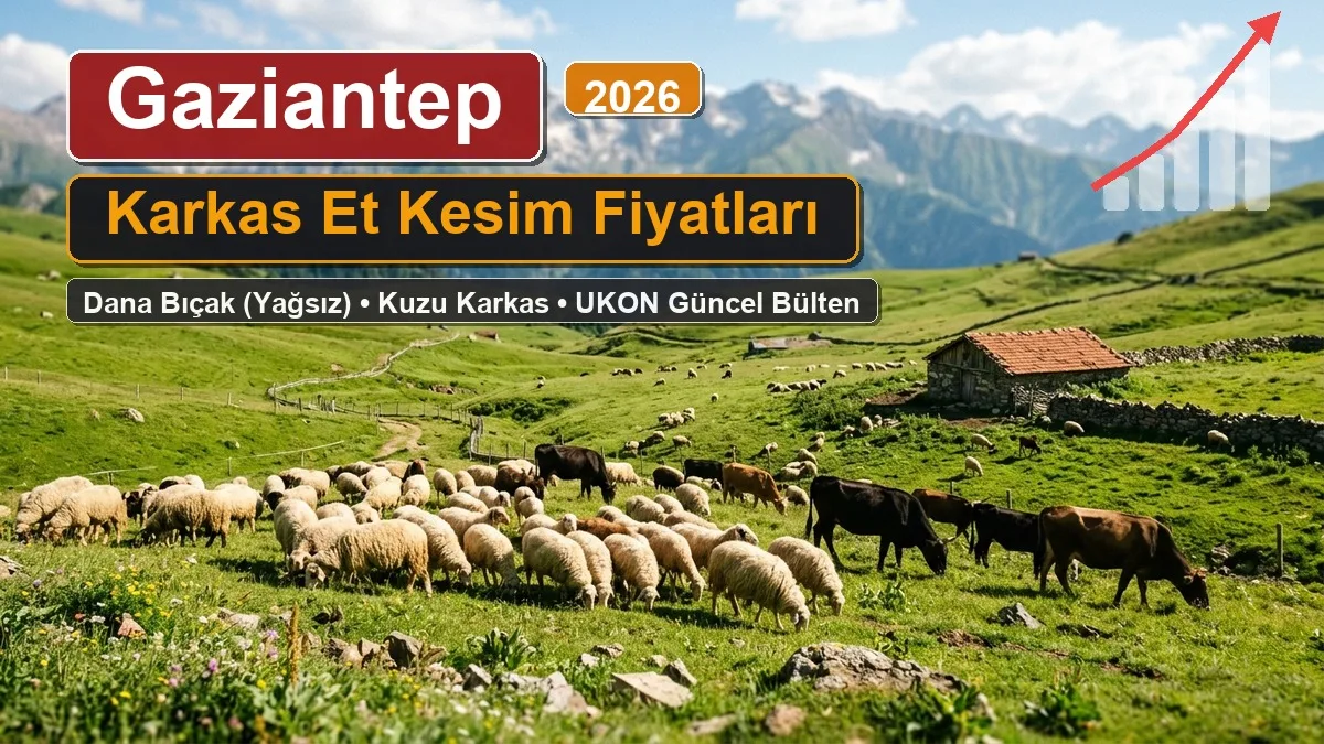 gaziantep karkas et fiyatlari