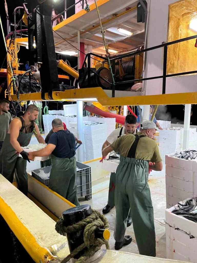 girgir teknelerinde balik boyu denetimi e2e61adc8206