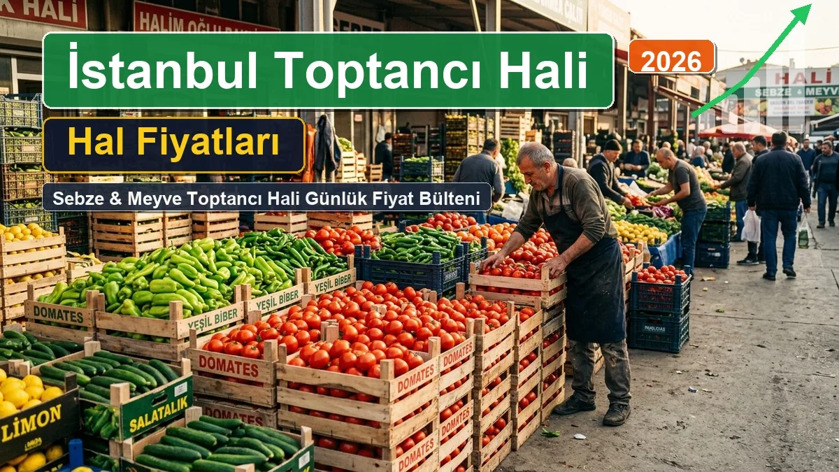 İstanbul Toptancı Hali Fiyatları 10 Eylül 2026: Günlük Toptancı Hali Sebze ve Meyve Fiyat Listesi 1 istanbul hal fiyatlari