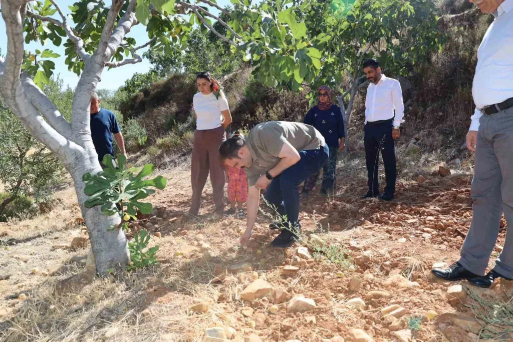kaymakam battal incir hasadinda ureticilerle bir araya geldi 145cc728fae4