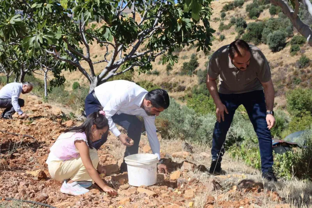 kaymakam battal incir hasadinda ureticilerle bir araya geldi ccb5baa75a17