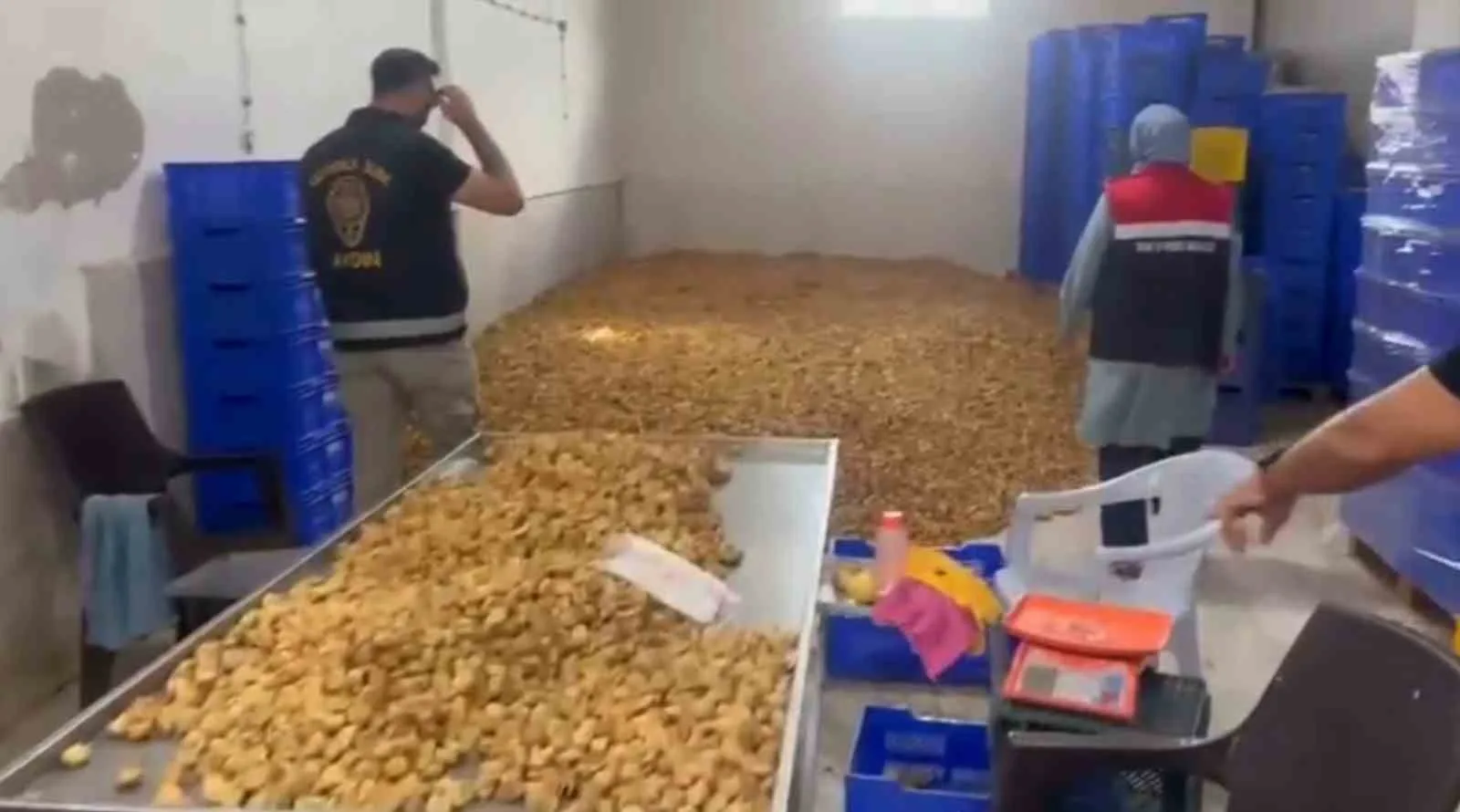 Köşk’te 20 milyon TL değerinde 25 ton etiketsiz kuru incir ele geçirildi