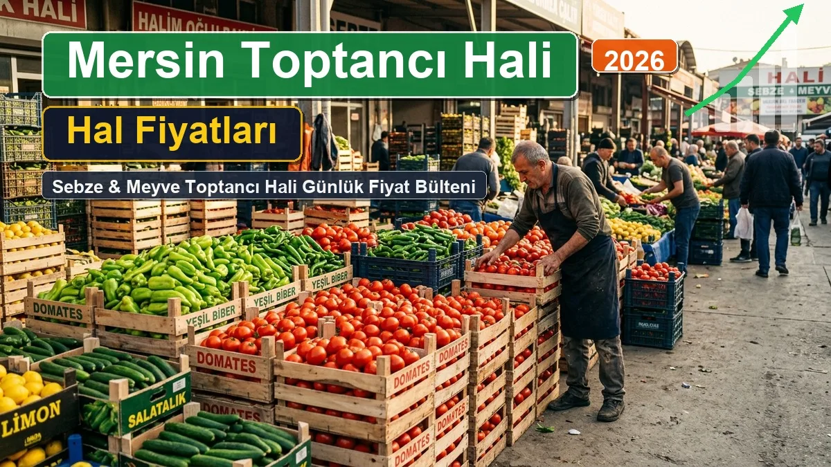Mersin Toptancı Hali Fiyatları 10 Eylül 2026: Günlük Toptancı Hali Sebze ve Meyve Fiyat Listesi 1 mersin hal fiyatlari
