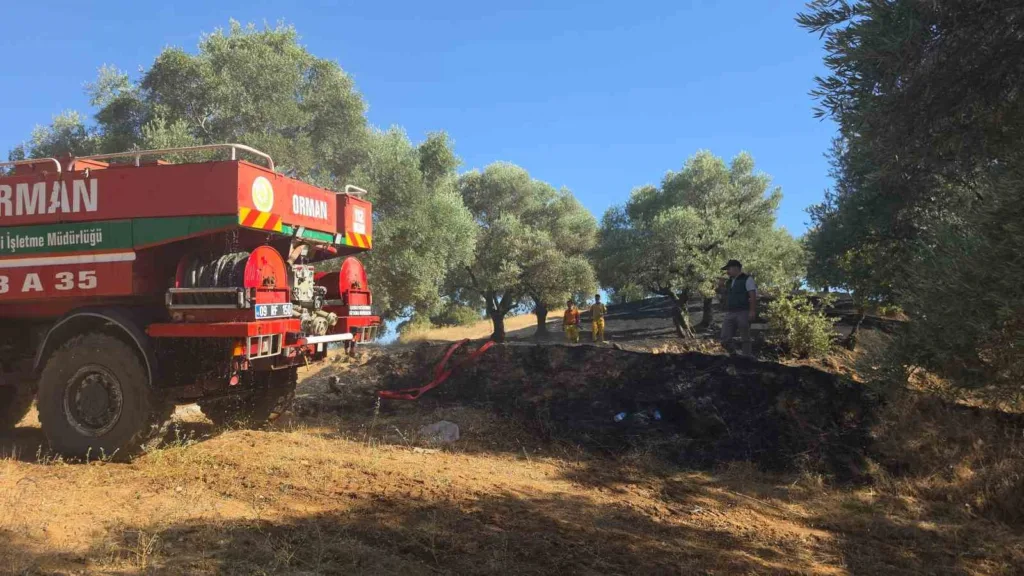 nazillide cikan yanginda 2 donum zeytinlik zarar gordu f6387e41e29f