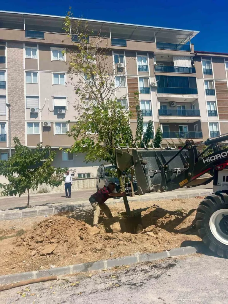 Sultanhisar’da ağaçlandırma çalışmaları sürüyor 4 sultanhisarda agaclandirma calismalari suruyor 1dfe835de792