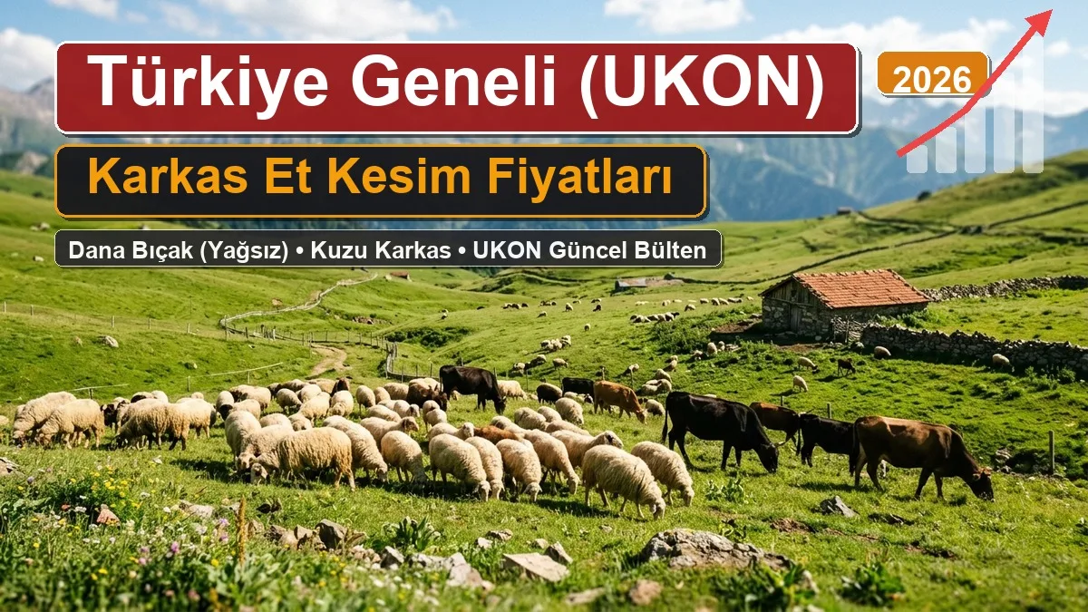 Türkiye Geneli (UKON) Karkas Et Kesim Fiyatları 10 Eylül 2026: Dana & Kuzu Bıçak Fiyatı Kaç TL? 1 turkiye geneli karkas et fiyatlari
