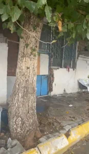 Aydın’da okul yanındaki metruk bina yıkılıyor: Polisler mahalleye geldi
