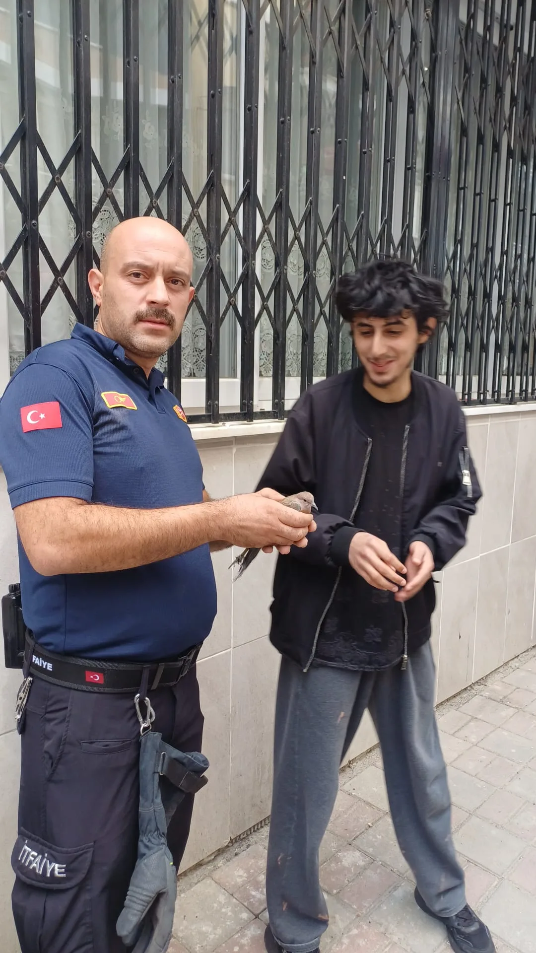Aydın’da kuş kurtarma operasyonu: Bir can bir candır!