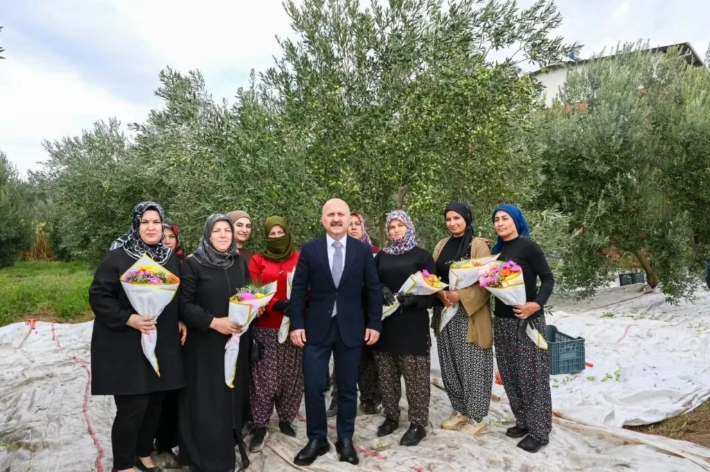 aydin valisi varol kadin ciftcilerle zeytin topladi 8c529c780c9b