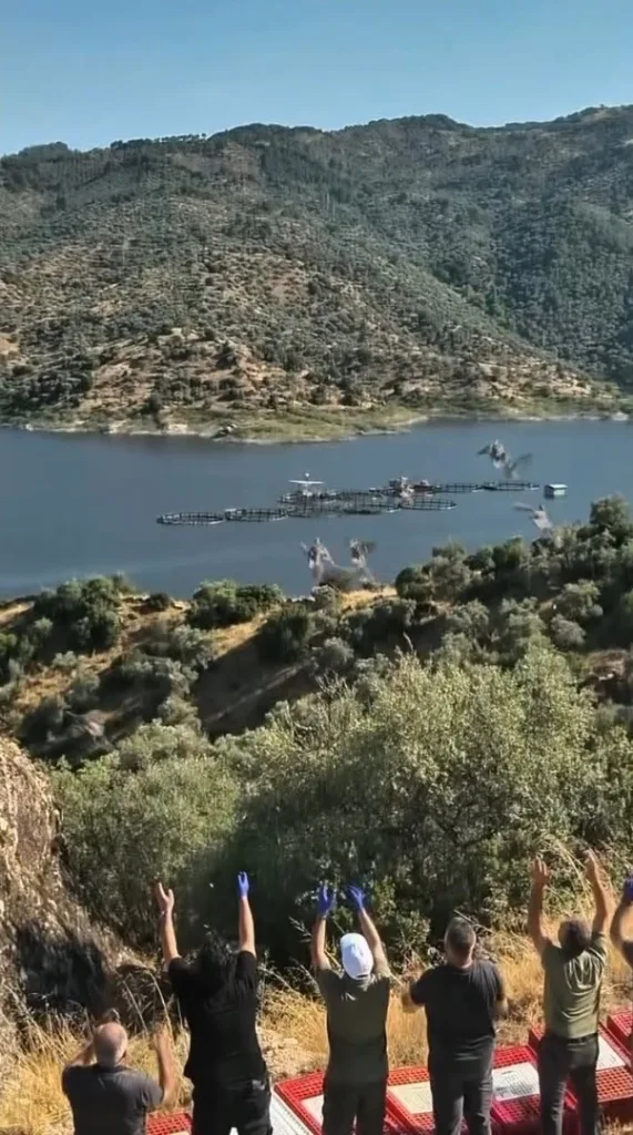 Aydın’da doğal yaşam alanlarına kınalı keklik salımı yapıldı 2 aydinda dogal yasam alanlarina kinali keklik salimi yapildi b9f5174b6267