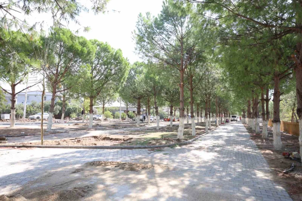Başkan Kaya, Dereağzı’ndaki projeyi yerinde inceledi 4 baskan kaya dereagzindaki projeyi yerinde inceledi a6e370ccb10c