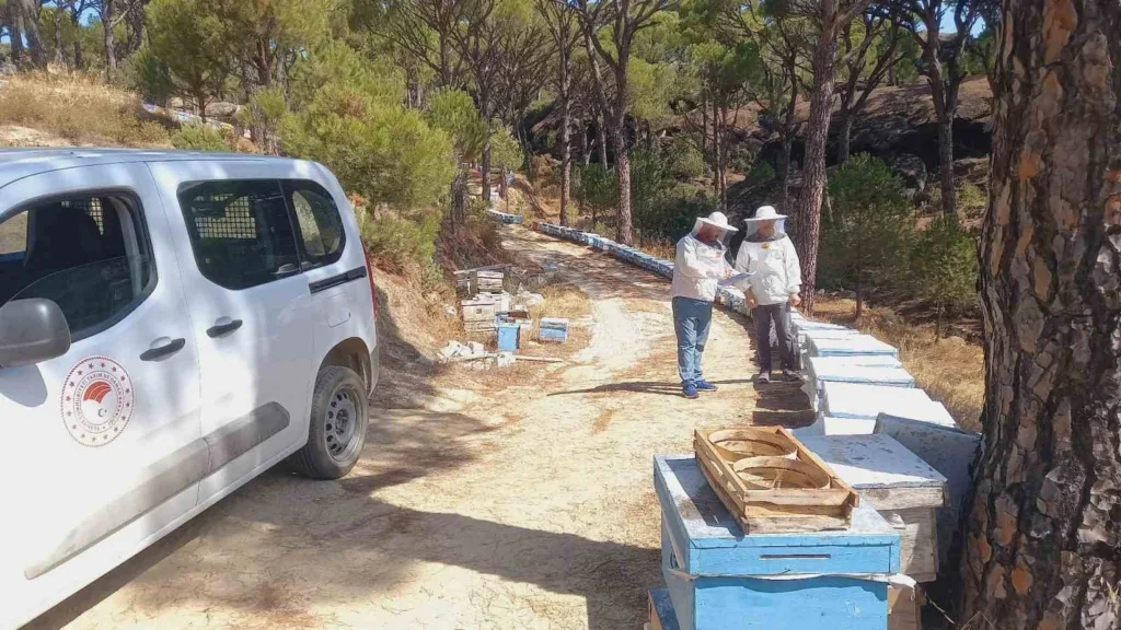 bozdoganda aricilara yonelik destek calismalari suruyor a9f9988b3148