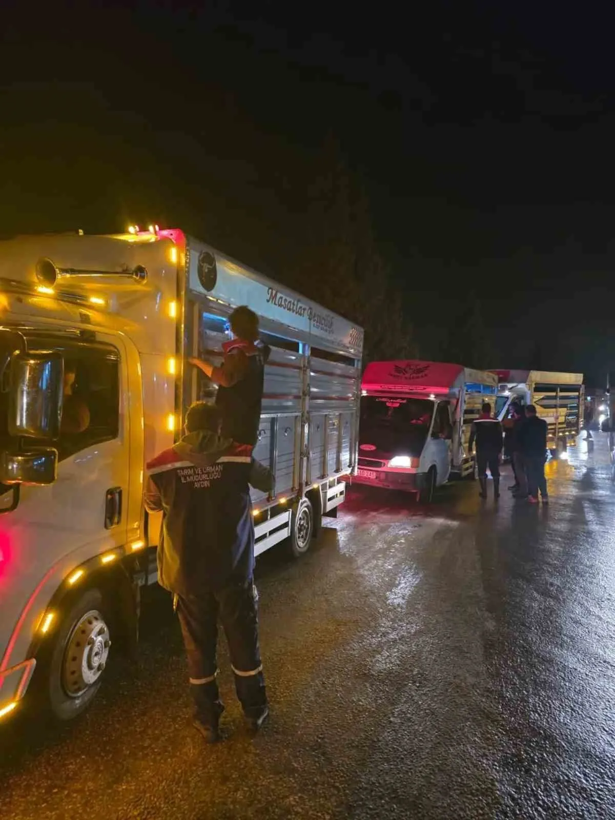Çine Hayvan Pazarı denetimlerle yeniden açıldı 1 cine hayvan pazari denetimlerle yeniden acildi e0dc488367a7