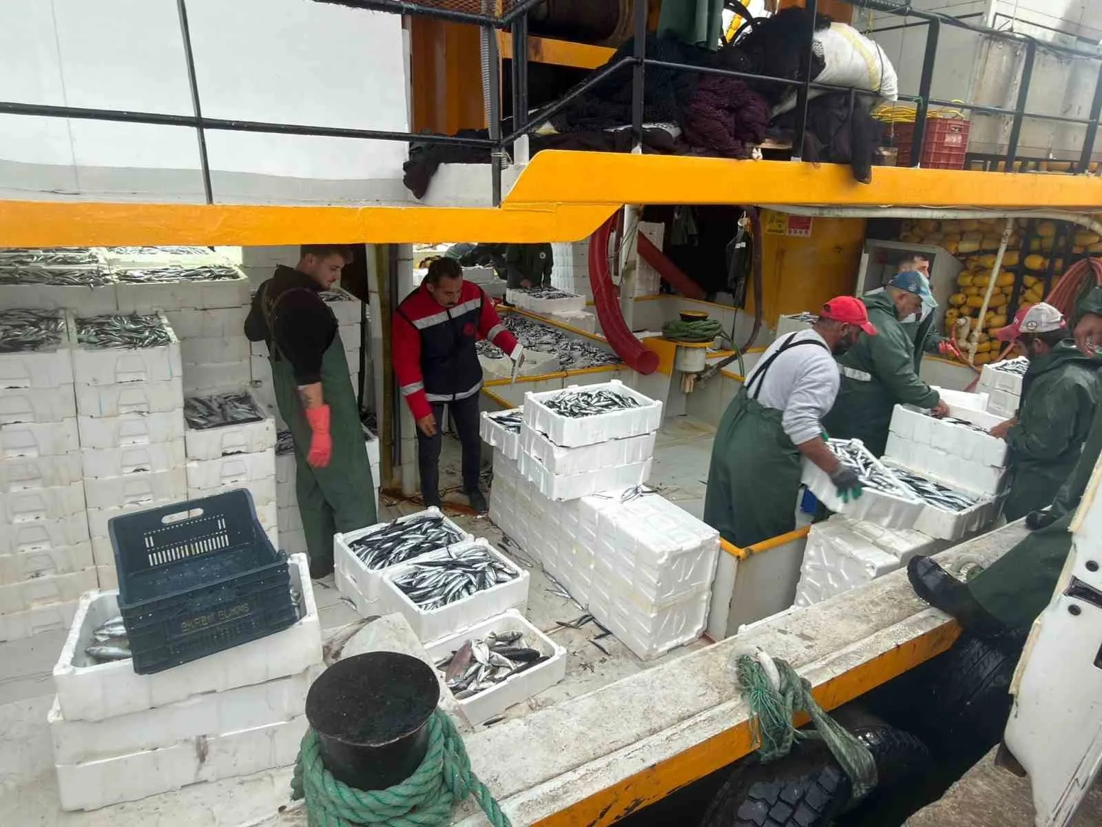 didimde hamsi kotasi denetimleri suruyor 7083fd146e44