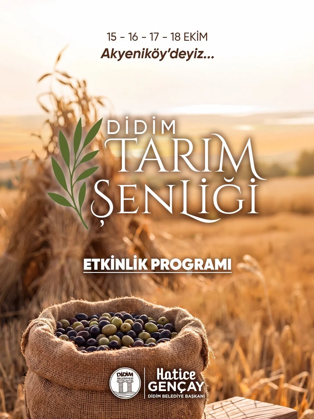 didimde tarim senligi 15 ekimde basliyor 8114f9e44d04