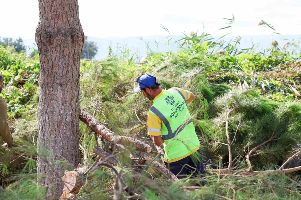 hacialiobasinda yesil alanlar yenilendi 3694baed9cbe