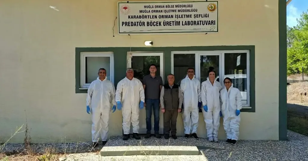 kestane gal arisina karsi biyolojik mucadele guclendiriliyor 9c8f04cec5ec