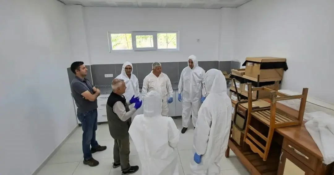 Kestane gal arısına karşı biyolojik mücadele güçlendiriliyor