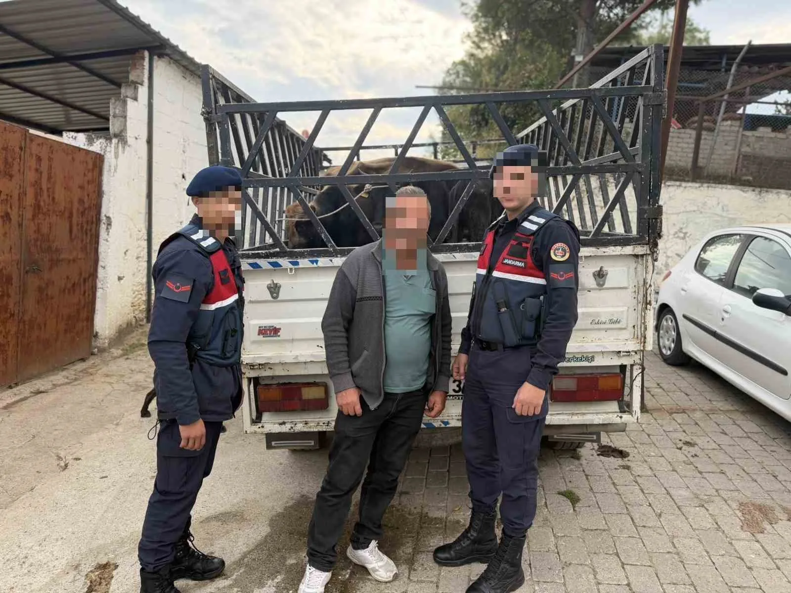 kocarlida caldigi buyukbas hayvanlari satan supheli tutuklandi 1d00a4bfe275