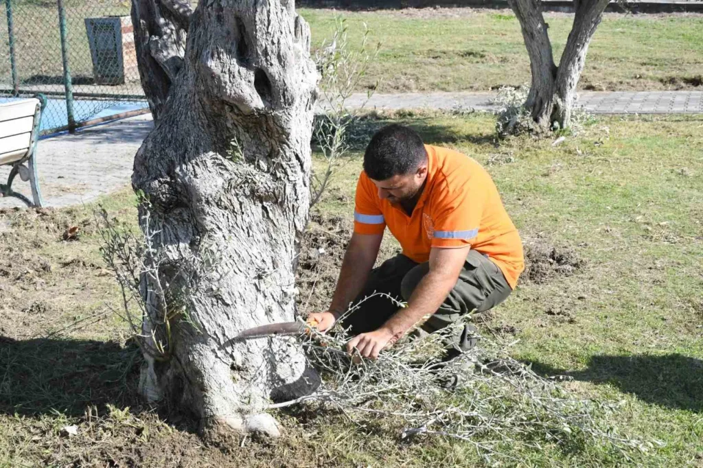 kusadasinda park ve yesil alanlar bakimdan geciriliyor 2480cf4d425f