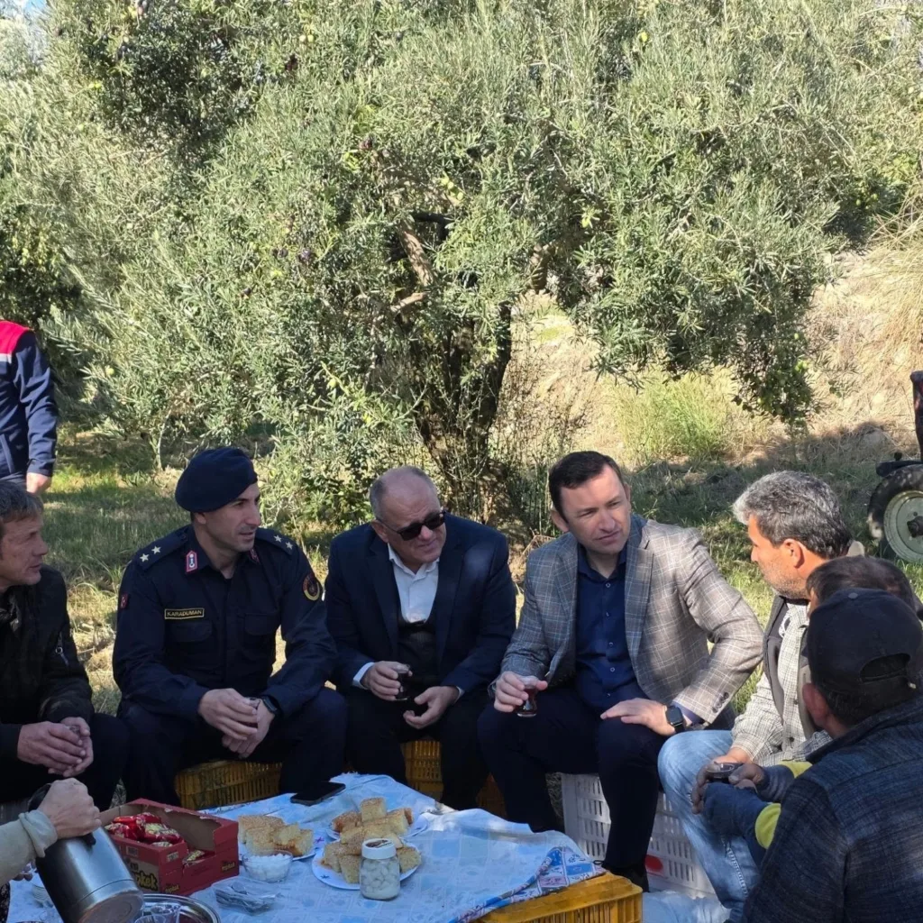 kuyucakta zeytin bahcelerinde hasat mesaisi ff63df5629aa
