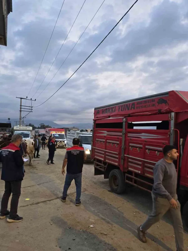 nazilli hayvan pazari acildi denetimler sikilastirildi 0a8a0d467f91