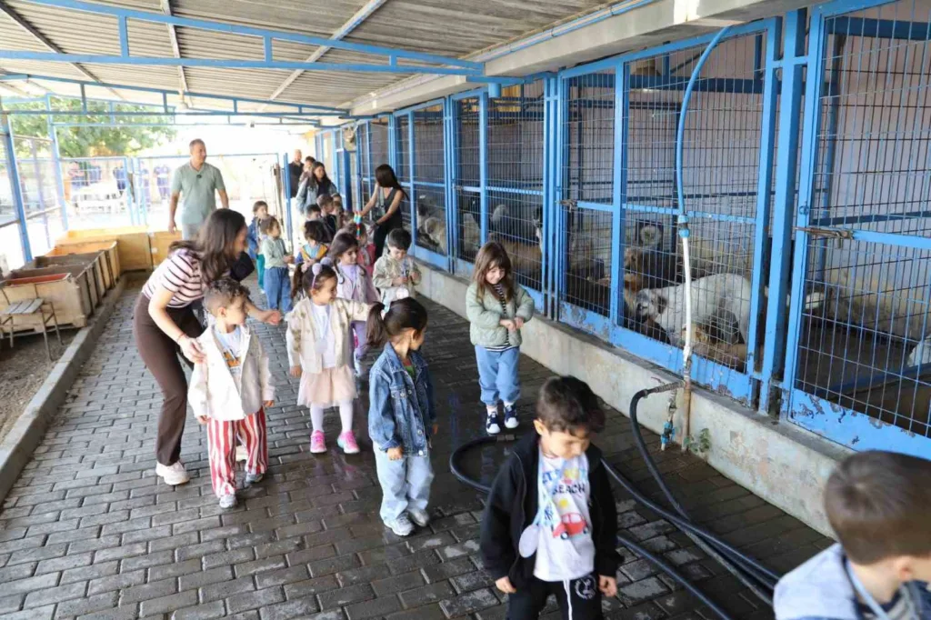 Nazilli’de minik öğrenciler can dostlarla bir araya geldi 5 nazillide minik ogrenciler can dostlarla bir araya geldi ad41ffa1bbec